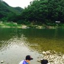 동막골식당 이미지