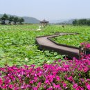 김영돈비뇨기과  의원 이미지