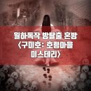 구미호 | 리얼이스케이프챌린지 구미호 홍대방탈출 혼방 후기