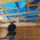 생명살림집 이미지