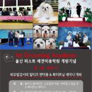 위너스펫