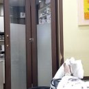 차오름 동물병원 이미지