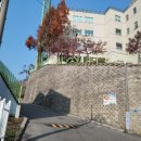 나인 스포렉스 이미지