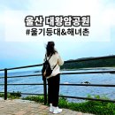 울산 대왕암공원 투어 해녀촌 울기등대 방문기 주차장 정보