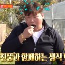 천뚱 농장 이미지