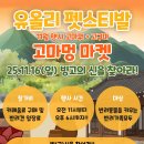 빙고 애견카페 네이버블로그