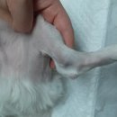 건국동물병원 이미지