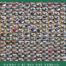 신조광타이어(주) | 하남 테슬라 모델Y 썬팅 및 도어 본넷 PPF 추가 시공