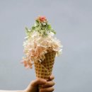 아이디어플라워 이미지