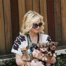 강아지와 산책 이미지