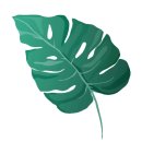 울알라애견미용 이미지