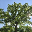 신암근린공원 이미지