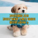 주식회사유인디자인 | 강아지패딩 조끼: 소형견 깔깔이 올인원 네이비 s, 이 성능에 이 가격?
