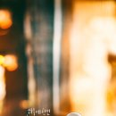 페리테일 이미지