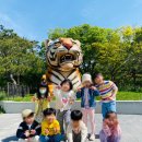 석촌유치원 이미지