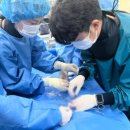 스카이메디칼 이미지