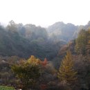 수도녹색숲모티길 이미지