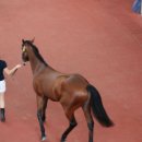 (주)기수산업 이미지