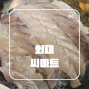 씨마트 | 외대 회 맛집 씨마트 광어 우럭 세트 메뉴 매운탕 추천