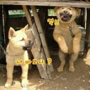 스카이독서실 이미지