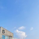 제주도파티게스트하우스틴더타운 이미지