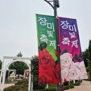 퓨전난타 | 오산 장미빛축제 고인돌공원 주차 포토존 정보