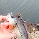 광신대교 이미지