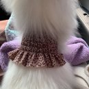 털찐친구들 이미지