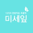 미세잎