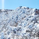 신불산 군립공원 산행사진 이미지