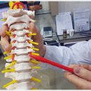 해담한의원 이미지