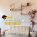 문화애견 | 코페드팔레츠 동대문역사문화공원역 근처 애견동반 카페 솔직 후기