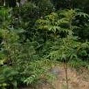 장미동산(우) 이미지