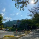빵선생 모악점 | [전주/완주 여행] 모악산 산책 : 모악산 빵집 ‘빵선생’ 후기