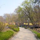 캠핑장