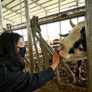 신월목장 이미지