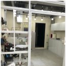 조은애견미용 이미지