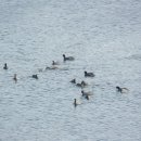 가래울천 이미지