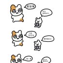 운병 | 취뽀 후기✨ | 취준 회피병 극복기