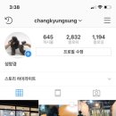 도그마 펫살롱 이미지