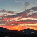 형진테크 | [크래프톤 정글 10기] WEEK 5 후기