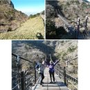 법호촌 | 13/11/16 한라산 산행(성판악~관음사 코스)