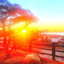 일진침구 | 경주 독채 숙소 추천｜‘꿀잠 잤어요’ 후기가 많은 이유 (까사후동)