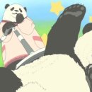 시로쿠마