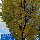 흑석약수터