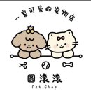 우장동물병원 | 중국에서 애견호텔맡기기/ 쑤저우 애견호텔링