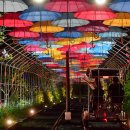 청도레일바이크 이미지