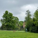 오동동182 | 네덜란드/공원/맛집/감자튀김/와플/Vondelpark/VLEMINCKX/VAN WONDEREN STROOPWAFELS