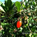 등대와올레길 이미지