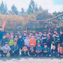 용인대 태기 합기도 이미지